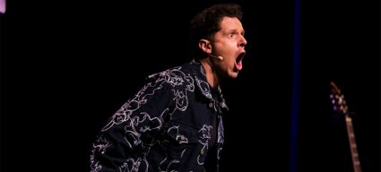 Programmering van theater De Lievekamp