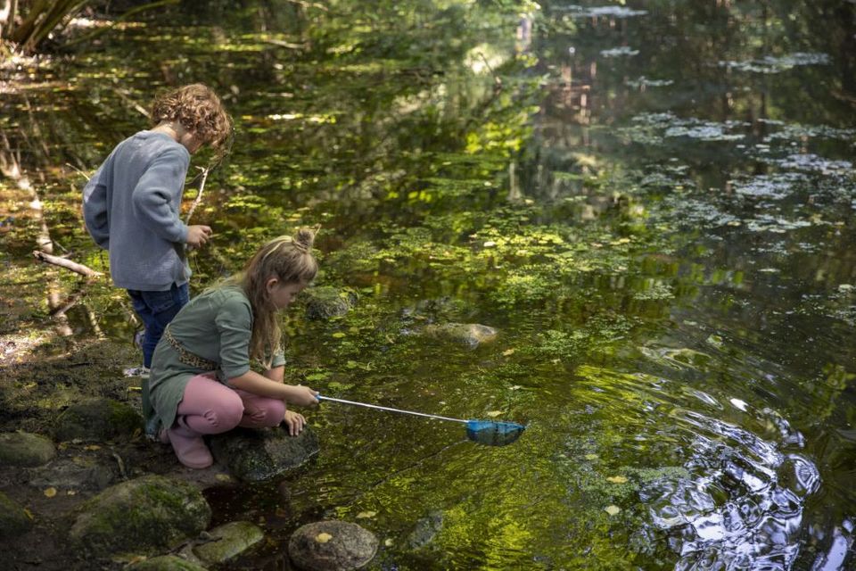 Kinderen spelen met een schepnetje