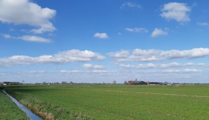 Buitengebied Oss in de lente
