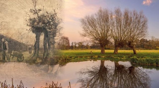 Van Gogh Nationaal Park in Noord-Brabant, een uniek landschap geïnspireerd door de werken en wandelingen van Vincent van Gogh, met aandacht voor natuurbehoud, duurzaamheid en cultuurhistorie