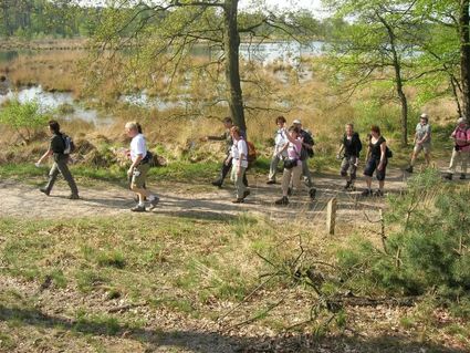Wandeltocht Runnersclub Lieshout
