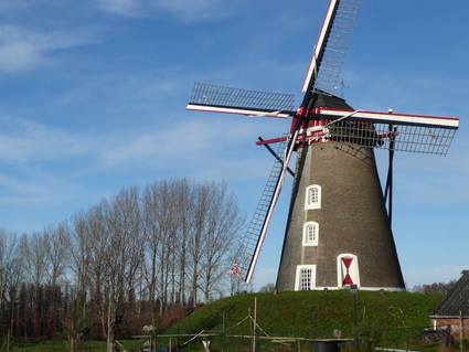 Molen Vogelenzang