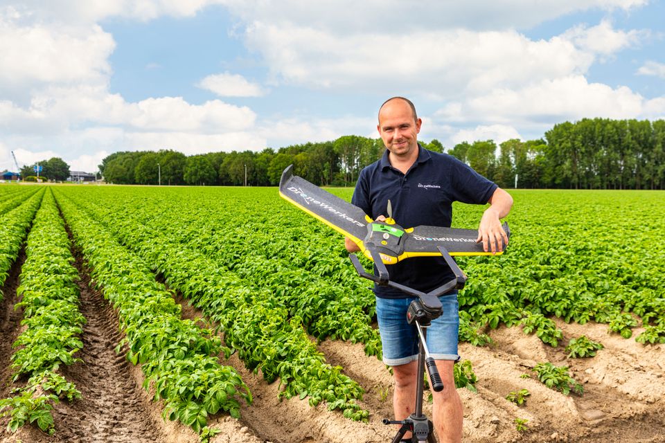 Man, ondernemer met een drone in een aardappelveld in Flevoland