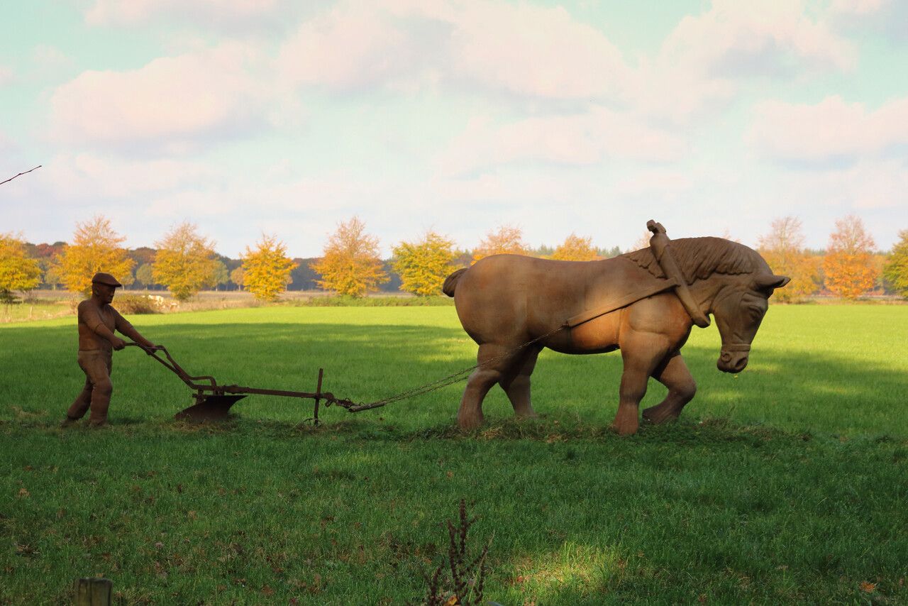 Verroeste Paardenkoets