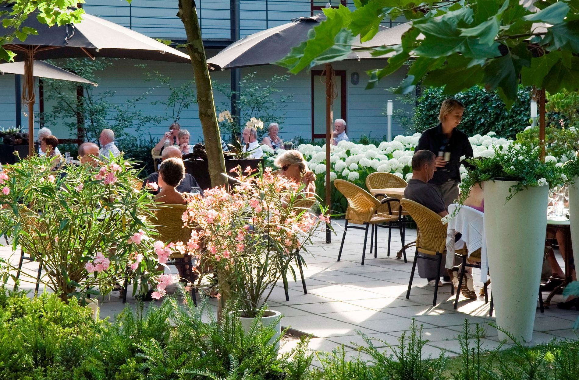 Terras met diverse zitjes, veel groene beplanting en donkere parasols.