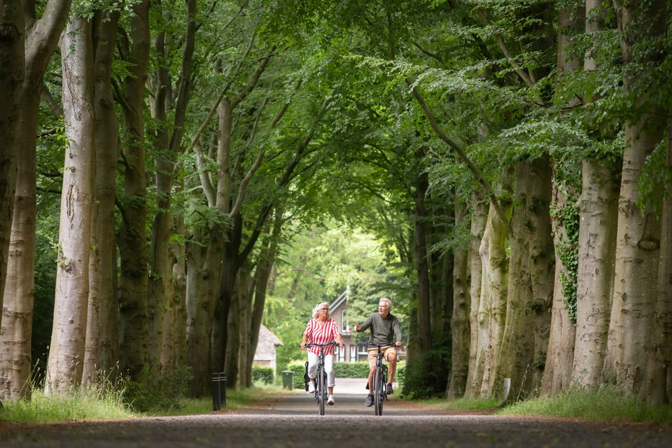 Frederiksoord fietsrondje