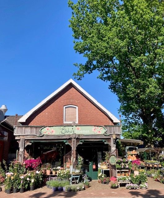 Voorzijde van een bloemenwinkel met allerlei planten en bloemen op de voorgrond.