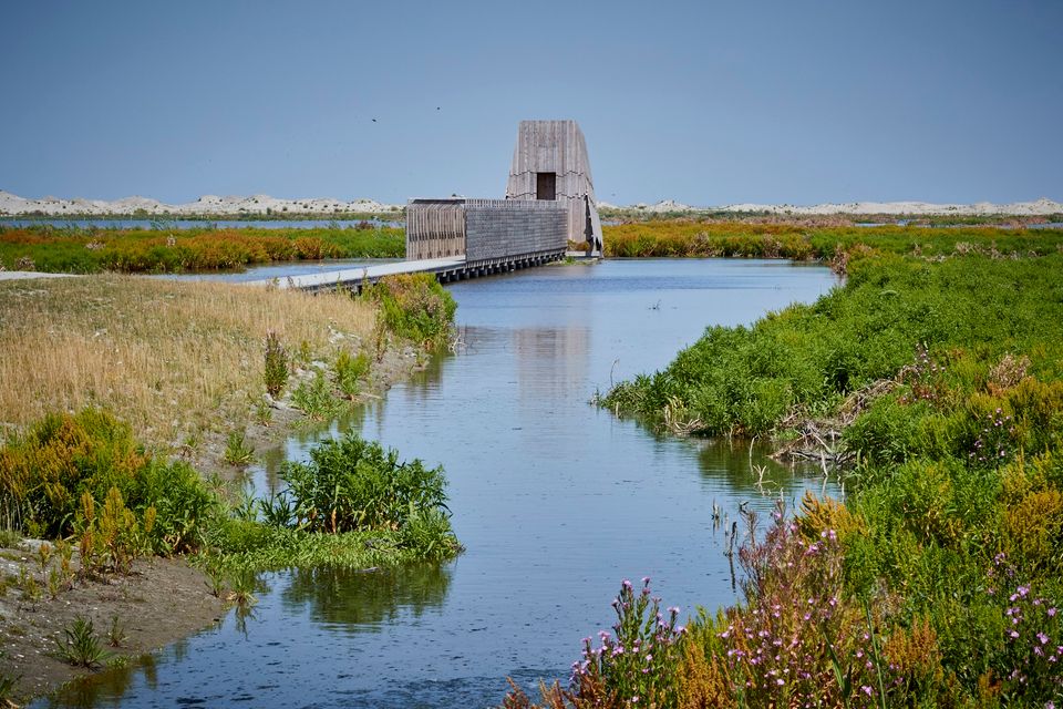 Marker Wadden is een uniek natuurgebied in ontwikkeling. De natuureilanden worden aangelegd met zand, klei en slib uit het Markermeer. Dit grote project draagt bij aan het natuurherstel van het Markermeer. Op deze nieuwe groep eilanden met natuurlijke oevers komt nieuwe natuur tot ontwikkeling. Zowel onder als boven water. Een natuurparadijs voor vissen en vogels en een heerlijk recreatie-eiland.
