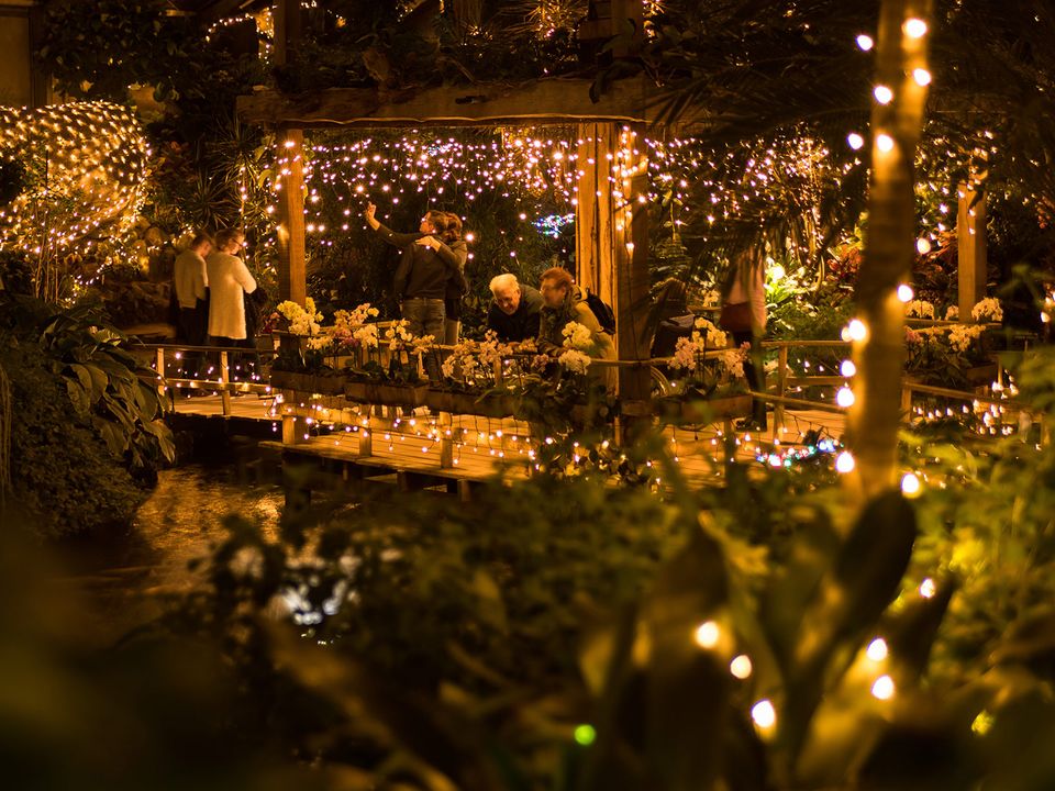 Bezoekers in de Orchideeën Hoeve die verlicht is met allemaal lampjes
