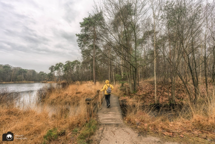 Laura van Westphil wandelt in de regen over het bruggetje van het Esschenven in Oisterwijk