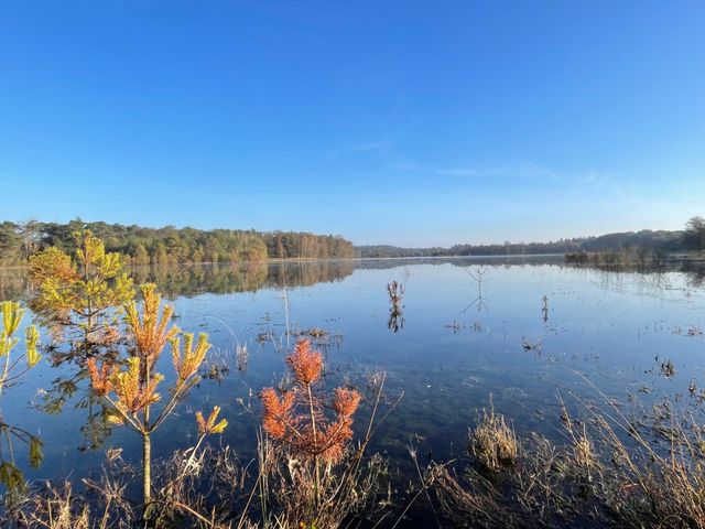 Uitzicht over Leersumsche Plassen bij het Leersumse Veld