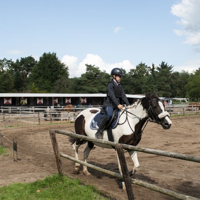 Website Witte Wieven