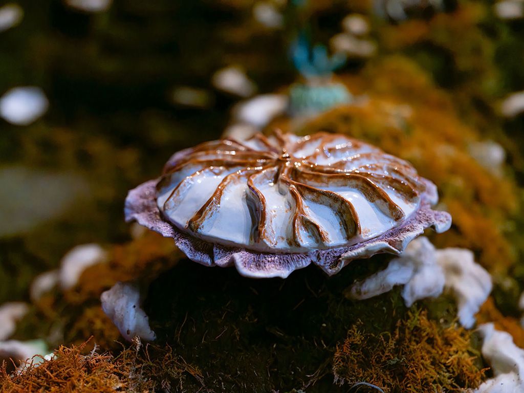 Marco Sleumer: Between Tides