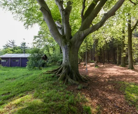 BoerenBed Het Wesselink in Salland