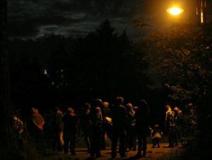Groep mensen tijdens de Nacht van de Vleermuis bij De Kievit in Harmelen, wandelend onder een lantaarnlicht in de avond.