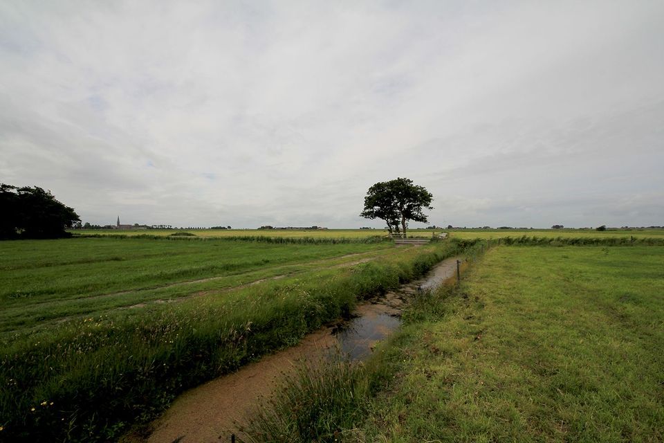 een slootje in een weiland
op de achtergrond bewolking