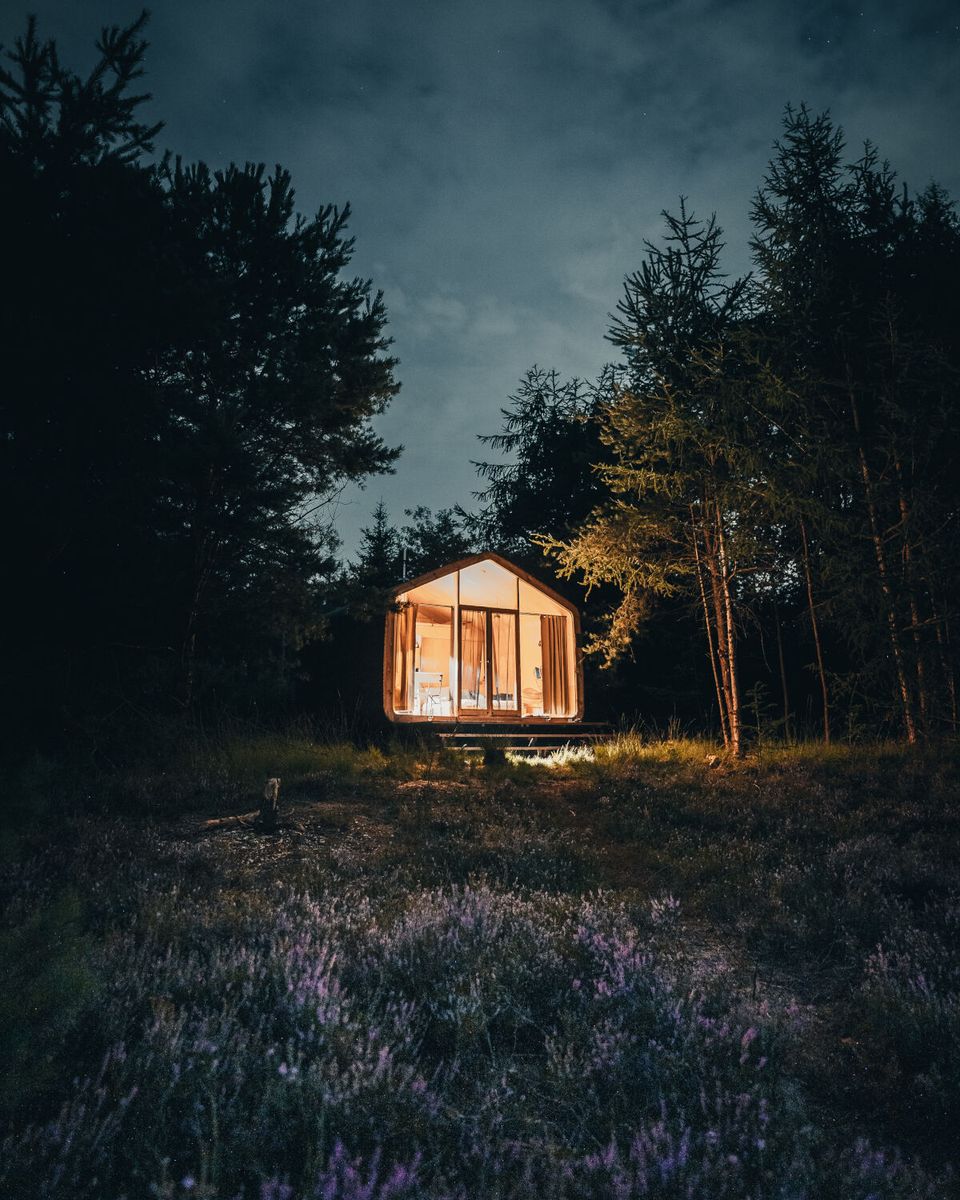 Huisje in Zuidwest-Drenthe in het bos