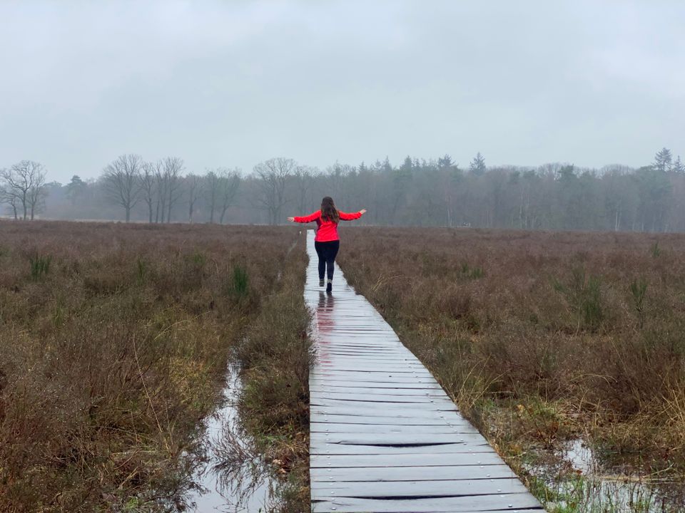 Rennen over vlonderpad Mastbos in regen