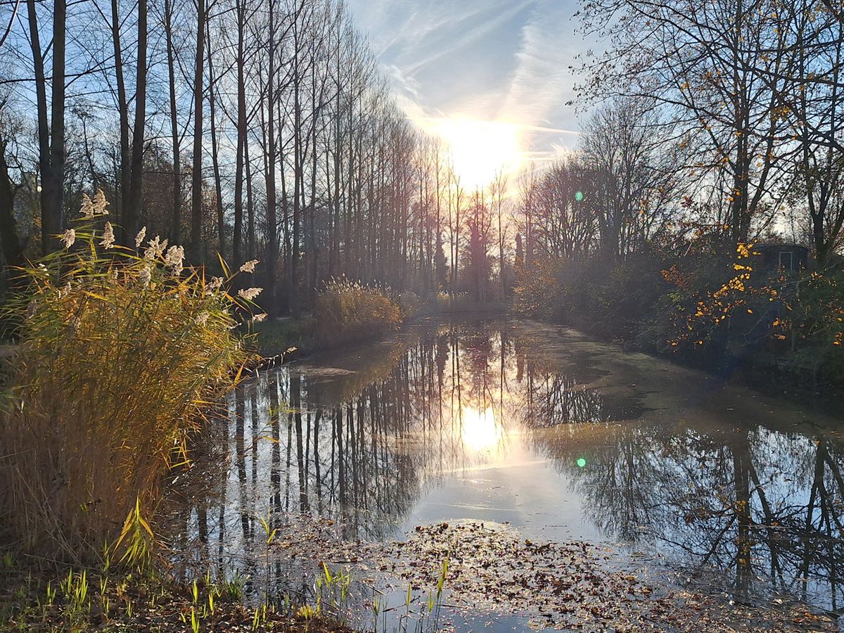 Plassen en slootjes in het achterland van de Vecht