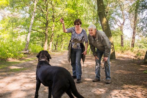 Twee mensen wandelen in het bos en spelen met hun zwarte hond.