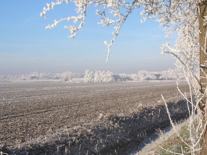 Foto van winters veld