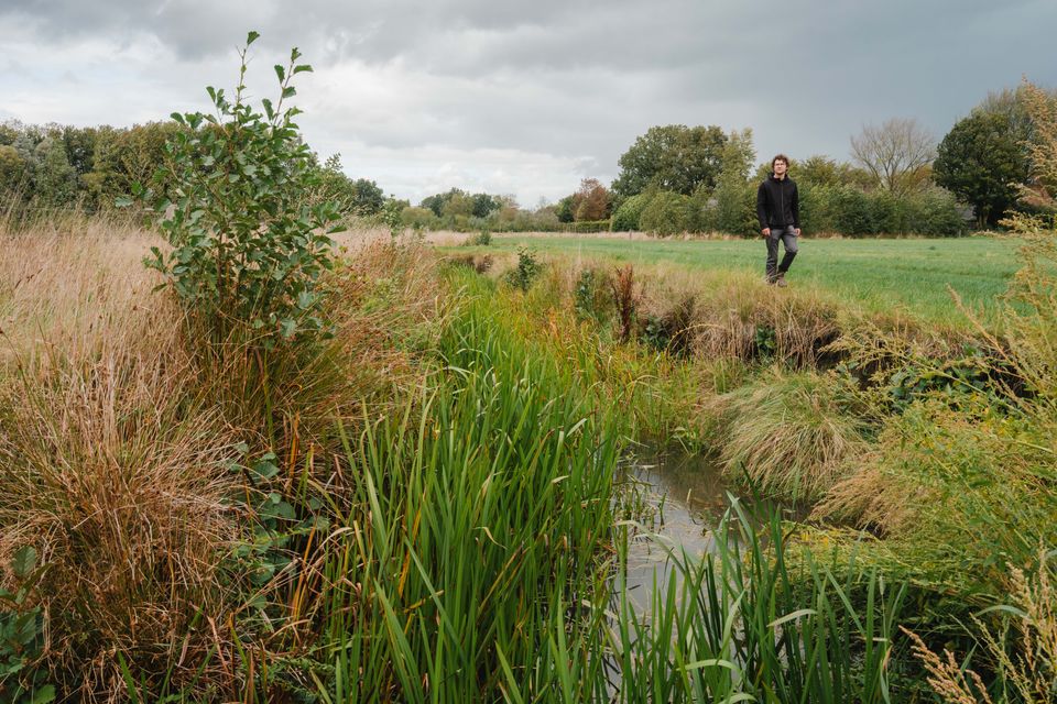 Wandelen langs de meanderende Kleine Beerze
