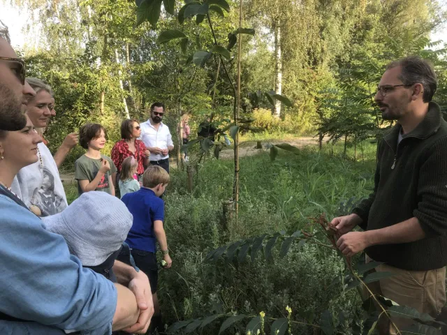Utopia Eiland