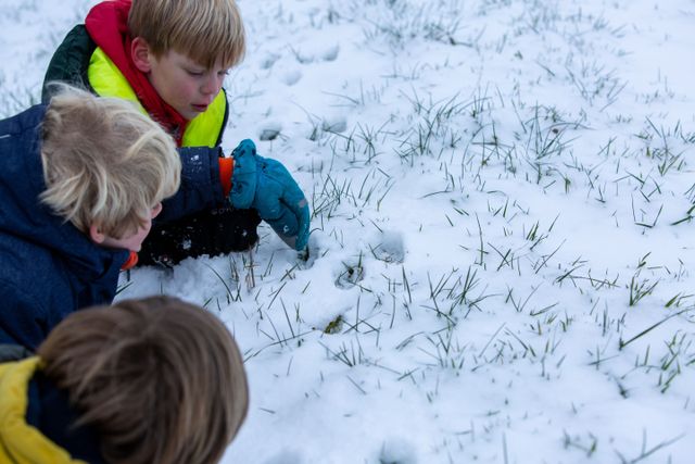 OERRR Spoorzoeken  met de boswachter