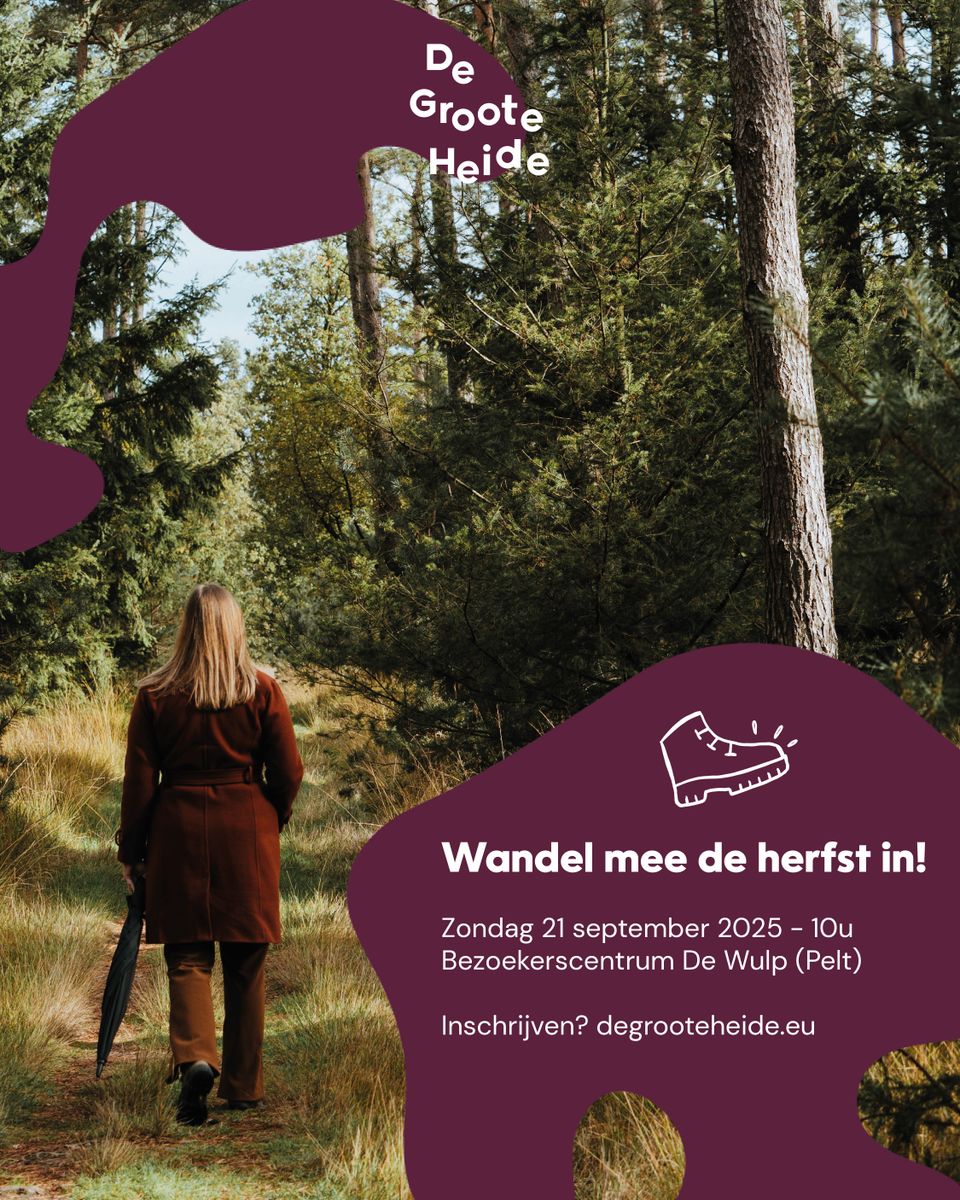 Herfst-IN-wandeling