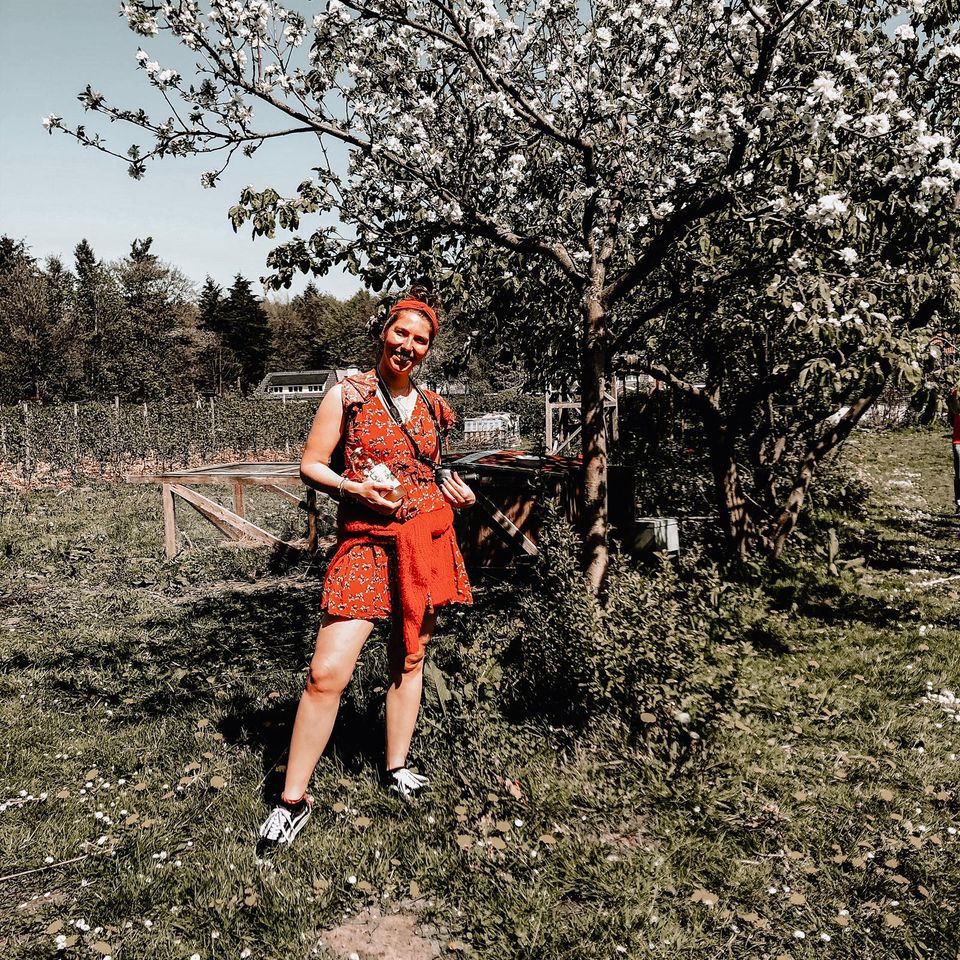 Tripweb Report-op de heuvelrug-kraaybeeckerhof