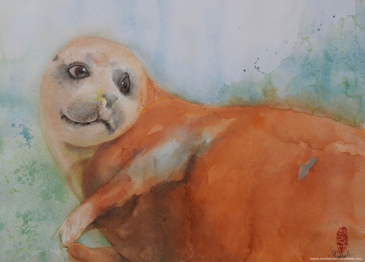 zeehondje