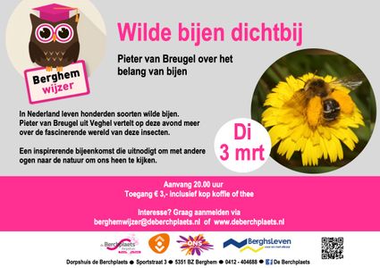 Poster van de lezing over de wilde bijen bij de berchplaets