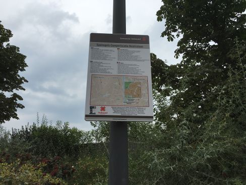 Camperplaats Helmond - Beatrixlaan — photo 8