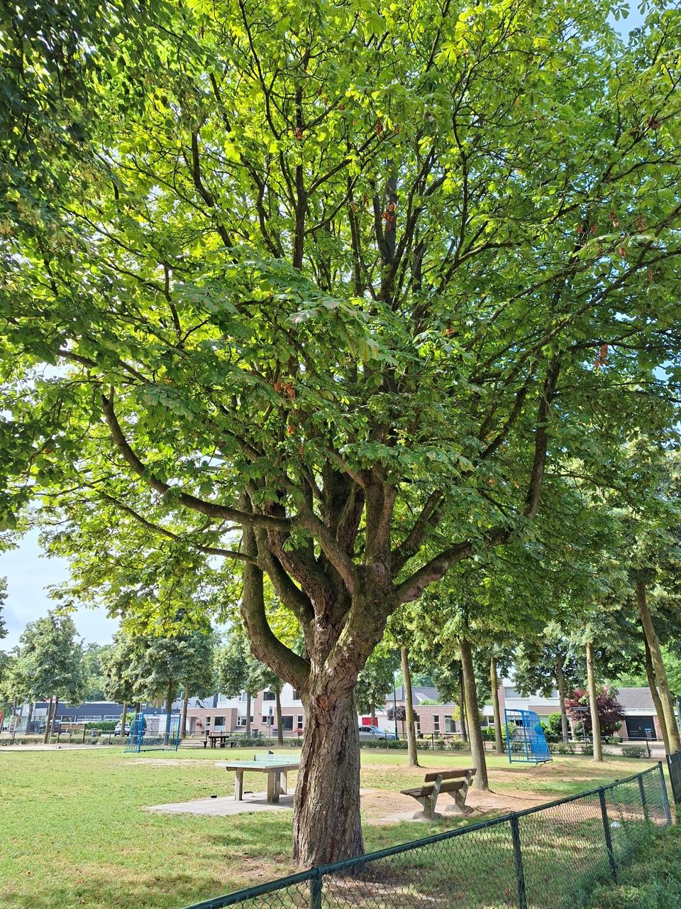 Tree walk Beek and Donk