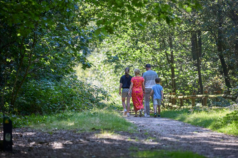 Wandelend door de Kempen.