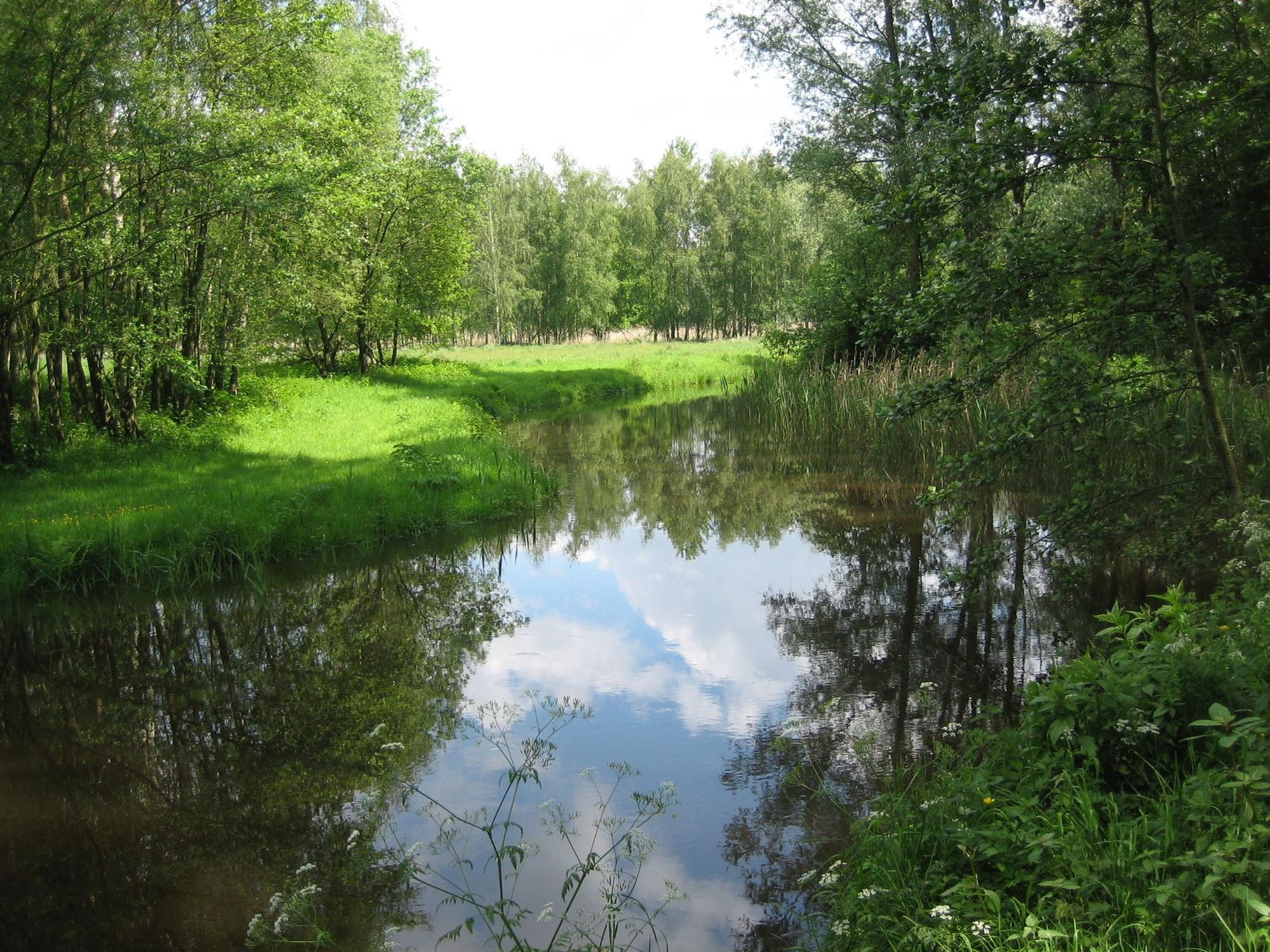 Estafettewandelingen Kleine Dommel in september en oktober