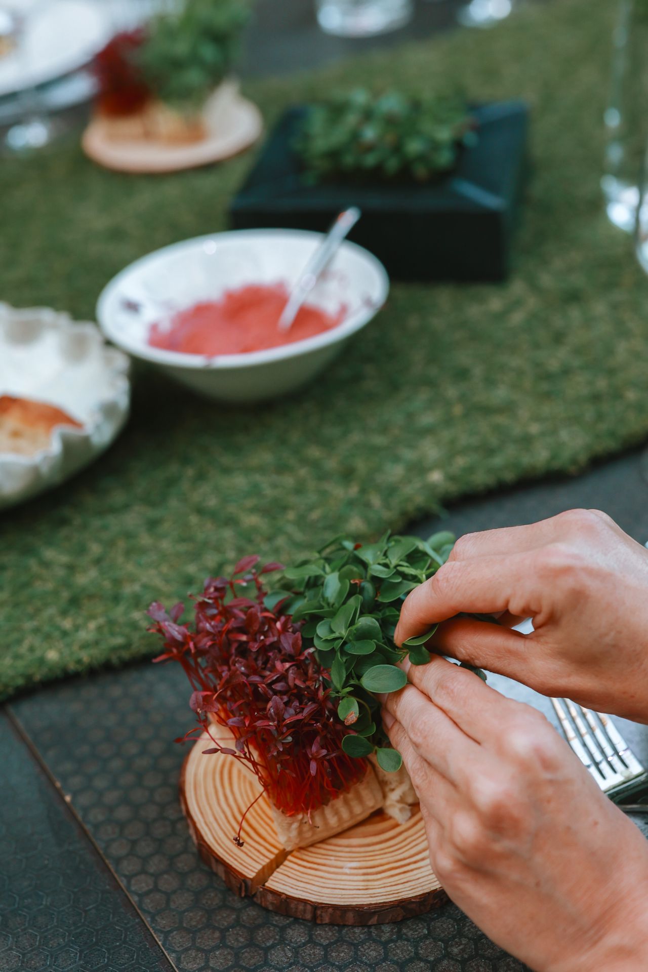Diner in de urban jungle van Koppert Cress in Westland