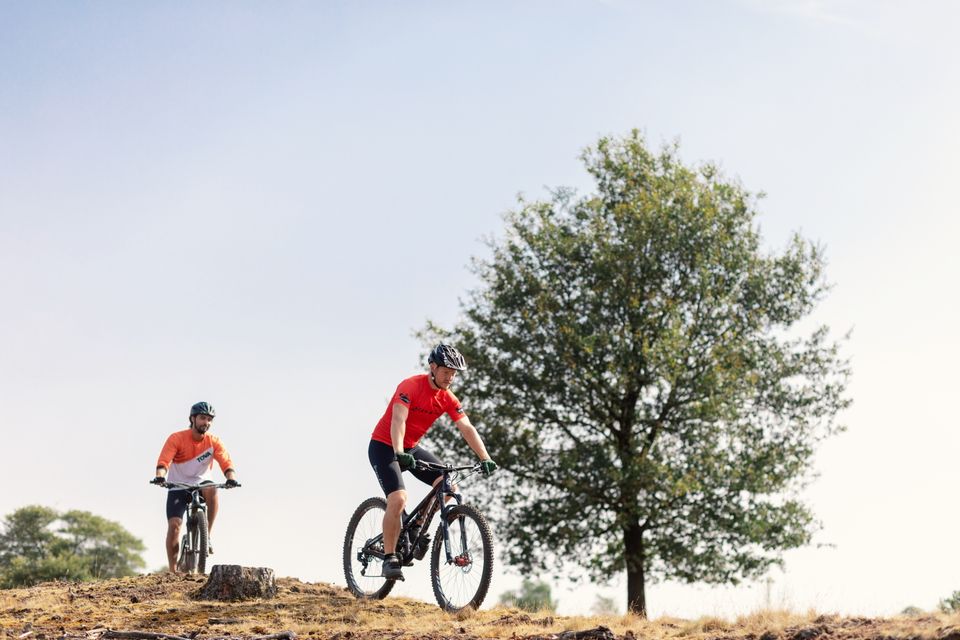 Twee mannen op een zonnige dag aan het mountainbiken door de natuur.