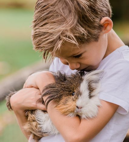 Jongen knuffelt met cavia