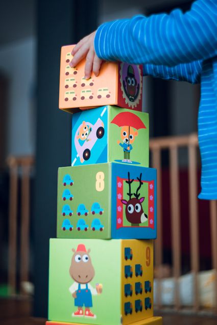 Building block toys.