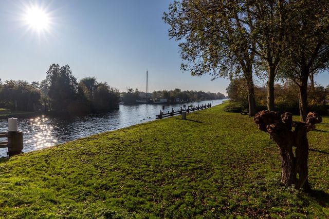 Langs een groene oever met bomen stroomt het water van de  Vliet.