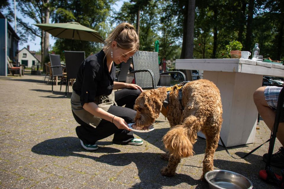 't Boshuys Echten met hond
