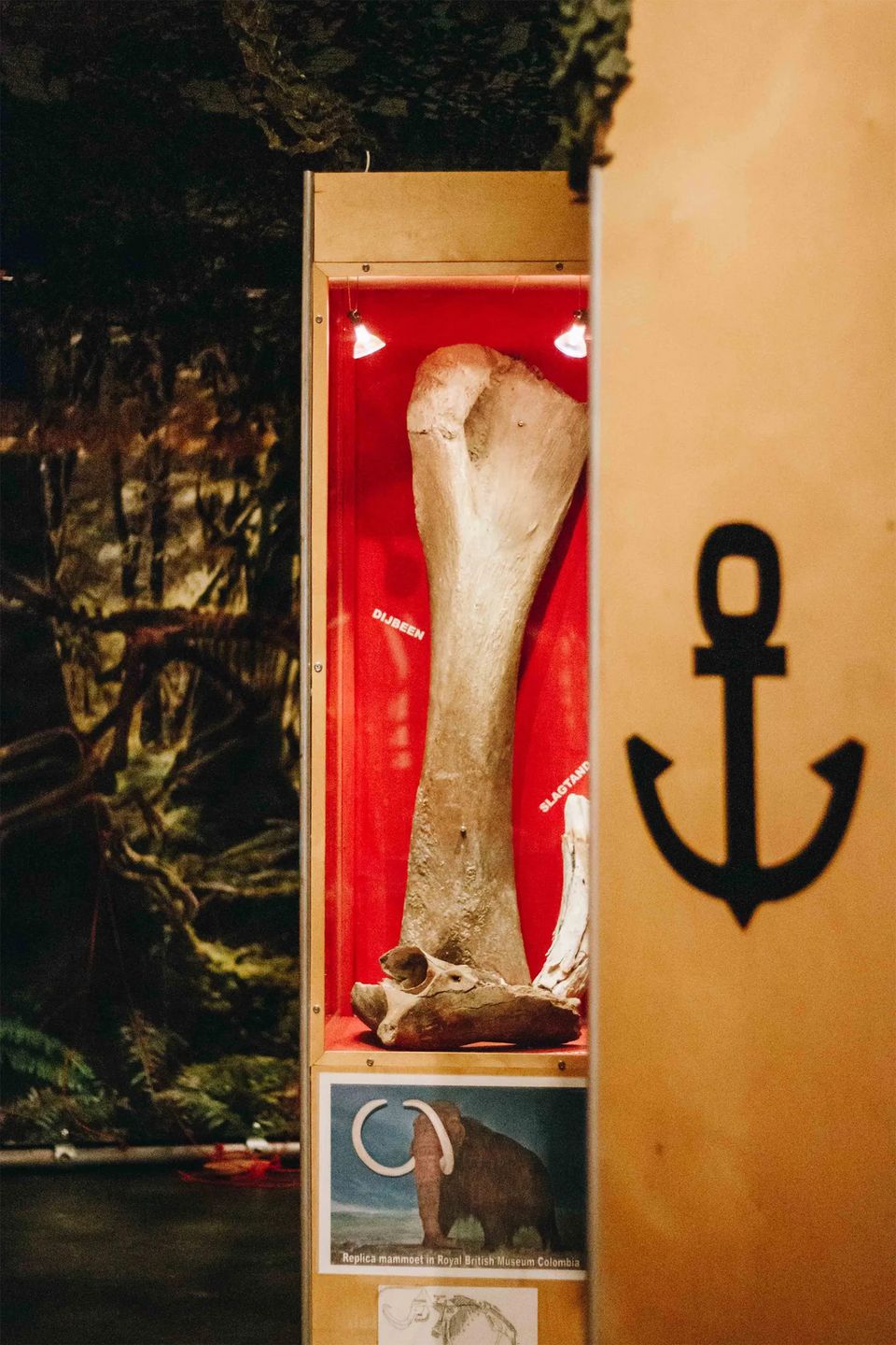 Natuurhistorisch museum Maastricht bot tentoonstelling schatgraven