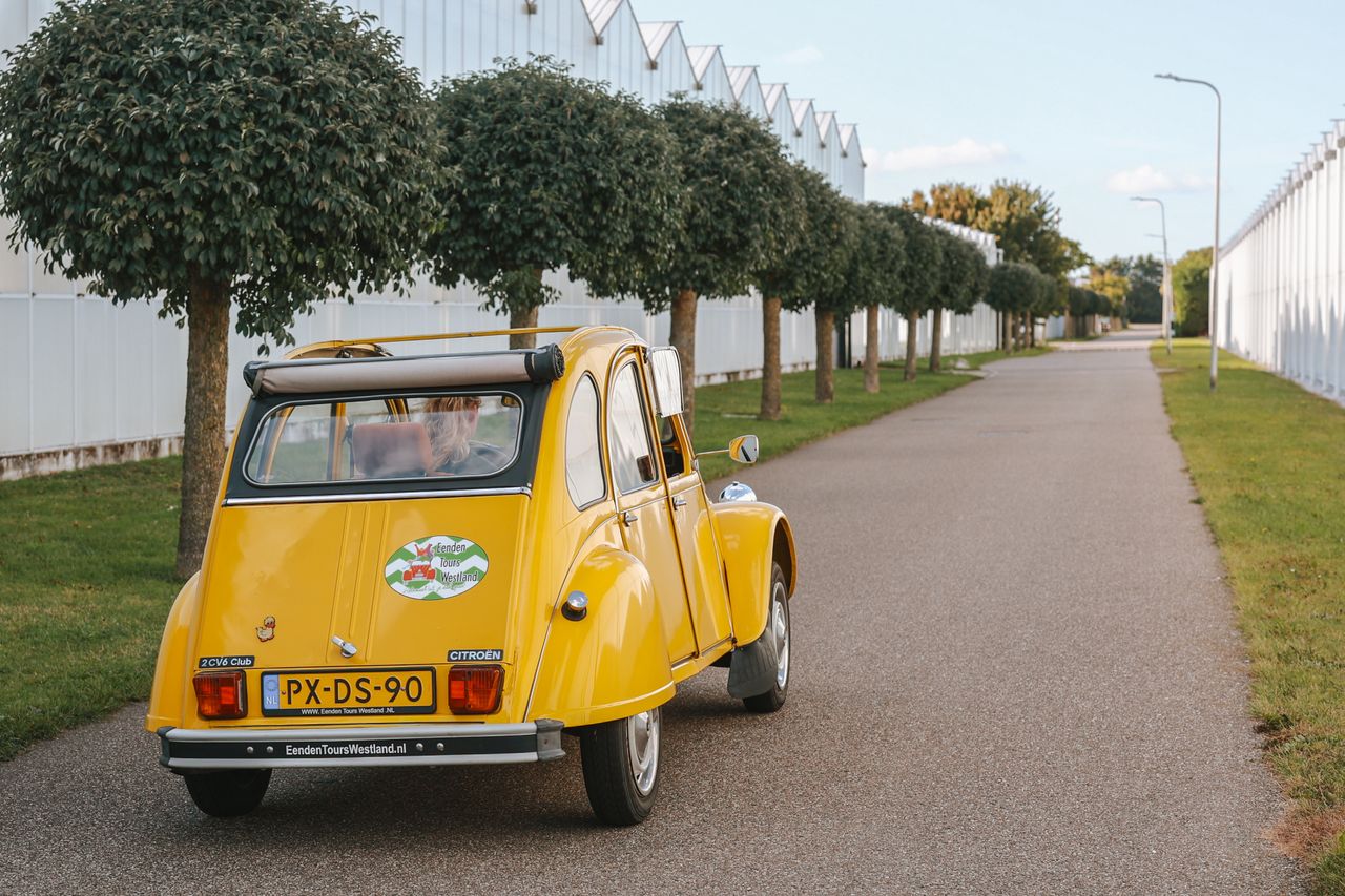 Lelijk eend huren in Westland