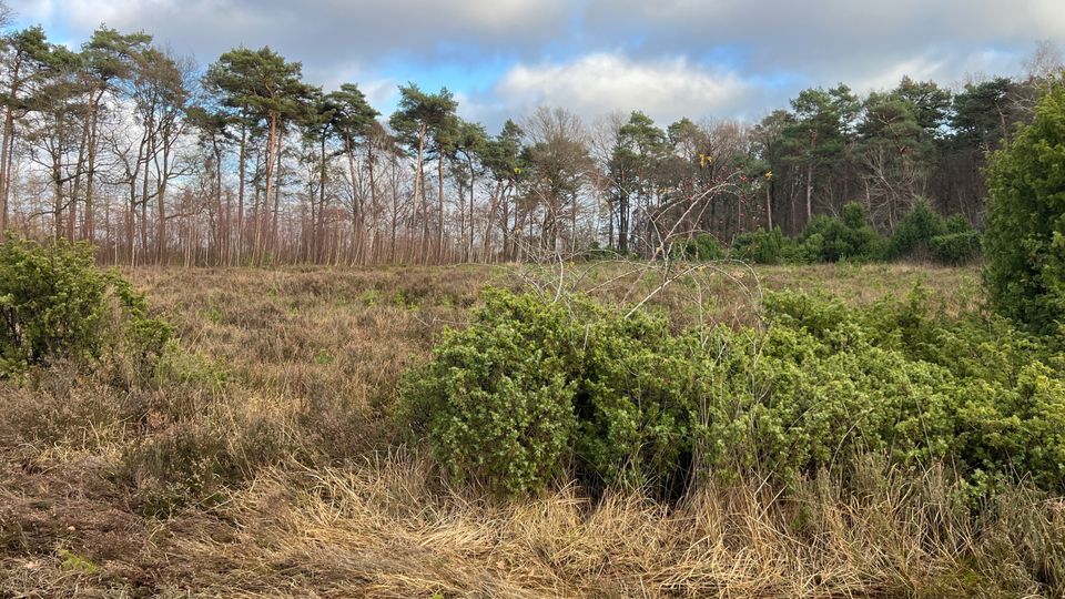 IVN-KNNV | Natuurwerkdagen (werkgroep natuurbeheer)