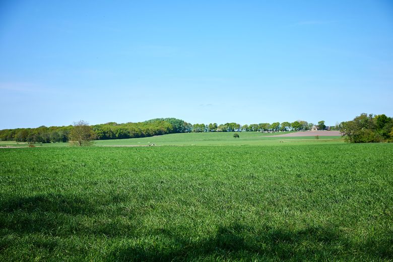 Glooiend Landschap Murnserdyk Gaasterland Friesland