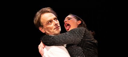 Programmering van theater De Lievekamp