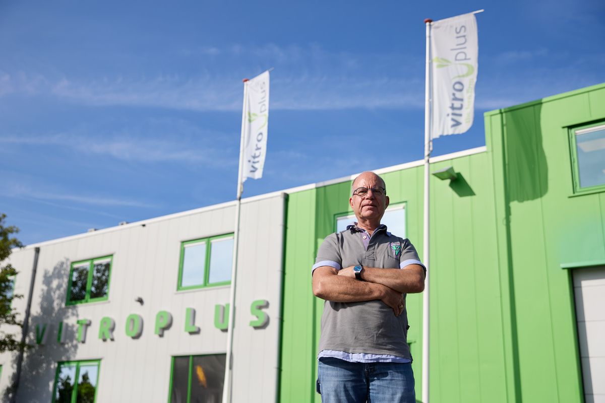 Evert bij Vitro Plus | opschouwenduiveland.nl