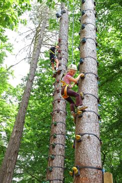 Rocks ’n Rivers Treetop Adventure Park | VisitBrabant