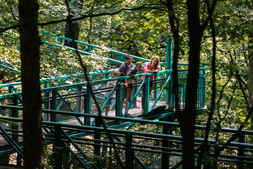Eine Familie geht hoch zwischen den Baumwipfeln auf dem Baumkronenpfad.